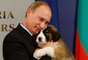 hese pets were exchanged between world leaders for a ‘warm” relationship