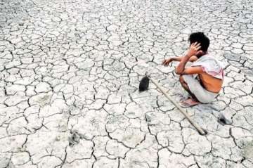 42 pc rise in farmer suicides in 2015, Maharashtra tops the chart again: NCRB