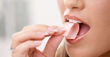 chewing gum, digestive system