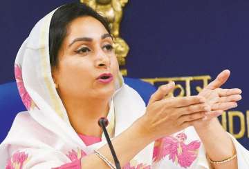 ‘ISI sponsoring Kejriwal’, alleges Union minister Harsimrat Kaur