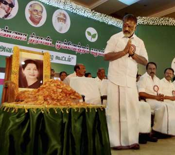 Amma, Tamil Nadu, CM, Panneerselvam, Sasikala