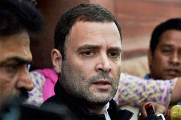 Rahul backs cut in Political funding, says rest was damp squib