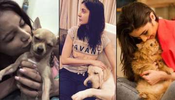 These Bollywood and TV celebrities with their ‘Pets’ will make you go ‘Awww’ 