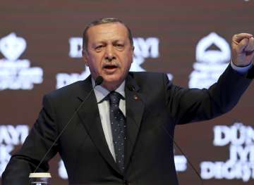 Turkey's Erdogan warns Netherlands will pay the price for insult