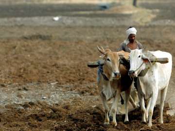 389 farmers committed suicide in Maharashtra this year: Govt 