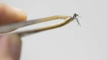 Smartphone app to detect Zika, dengue in 30 minute