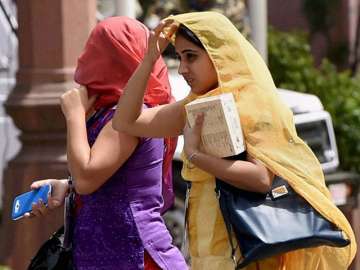  Delhi woke up to season’s hottest morning in five years today