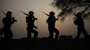 Terror attacks, ceasefire violations have declined post-surgical strikes: Centre