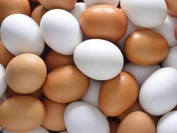 Eggs made of plastic find their way into Kolkata market, one held 