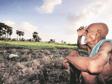 Are waiving off crop loans the only solution to farmers' woes?