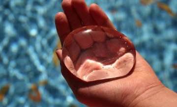 These ‘edible’ water bottles are a real thing