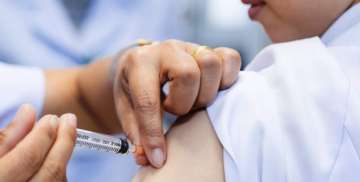 Protein that makes vaccination more efficient has 