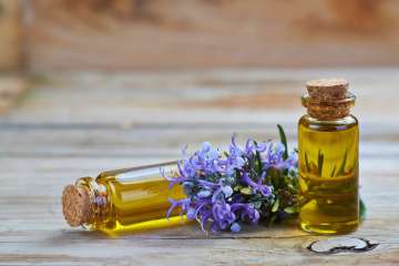 Rosemary oil can boost your child’s memory 