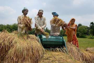 Farm loan waivers have become the latest cause of concern for banks