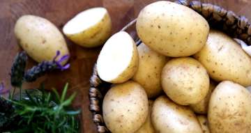potatoes healthy or not