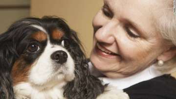 owning pets keep elderly active