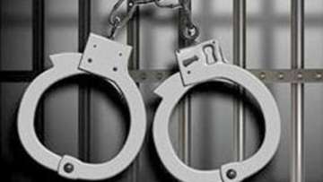 Two Indian-origin men among three arrested for posing as federal agents in US 