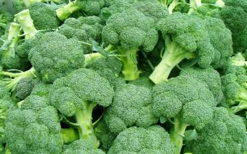 broccoli diabetes cure