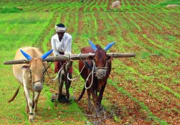 Karnataka waives crop loans up to Rs 50,000 for state’s 22 lakh farmers