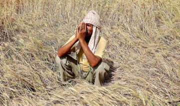Three farmers' suicides reported in Madhya Pradesh in one day