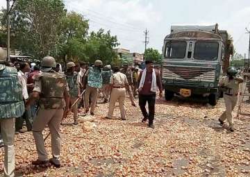 File pic - Farmers throwing vegetables on the road during their protest in MP