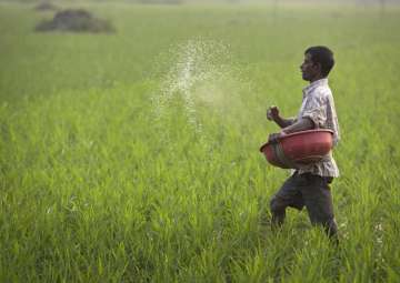 GST Council cuts tax rate on fertiliser to 5 per cent