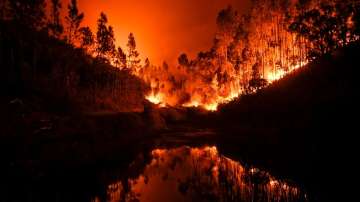 57 dead, 60 injured as forest fire rages in Portugal