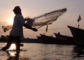 13 Tamil Nadu fishermen arrested by Sri Lankan Navy 