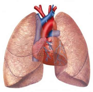 lung cancer drug 
