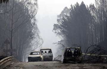 Death toll in Portugal wildfire rises to 64