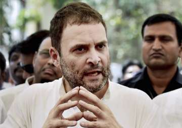 There is 'political confusion' in Tamil Nadu: Rahul Gandhi 