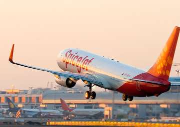 SpiceJet's fourth quarter net profit plunges 61 per cent