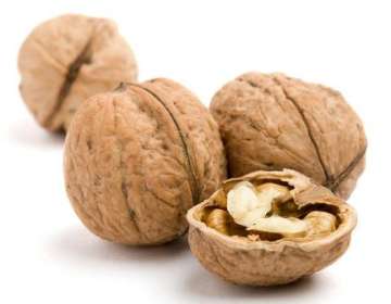walnut control appetite