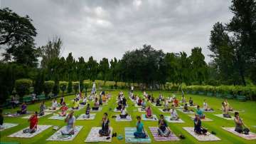 international yoga day