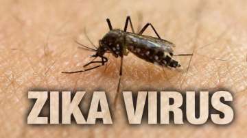 zika virus myths