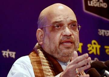  A dynastic party cannot take India forward: Amit Shah's jibe at Congress