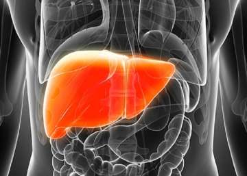 salive test liver diseases