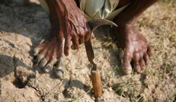 Climate change caused over 59,000 farmer suicides in India in last 30 years