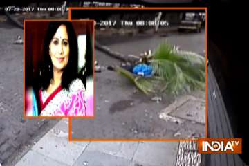 Former Doordarshan anchor crushed to death as tree topples on her