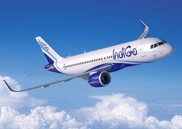 IndiGo on Sunday apologised to a passenger who fell off her wheelchair while being assisted by the airline’s staff at Lucknow airport.