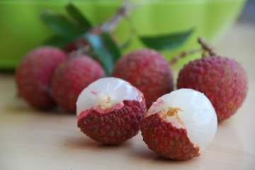 lychee deaths banned pesticide endosulfan