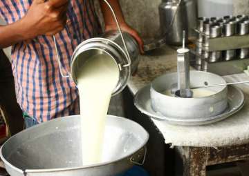 India to be world's biggest milk producer by 2026: Report