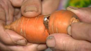 diamond ring, india tv, carrot