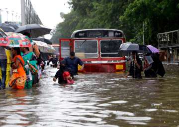 Rain fury in Mumbai: BMC gets down to restoring order in flood-ravaged city 
