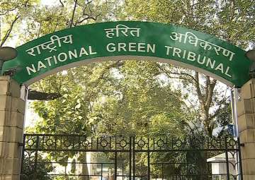 File pic - National Green Tribunal