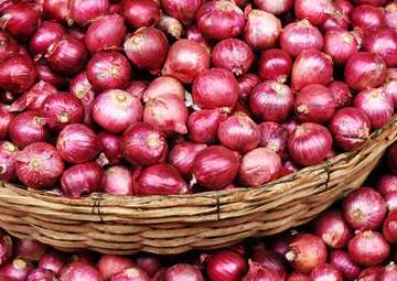Ram Vilas Paswan seeks curbs on onion export to keep prices in control