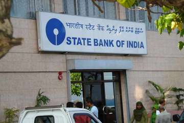 Top loan defaulters owe Rs 25,000 cr to SBI, over Rs 12,000 cr to PNB 