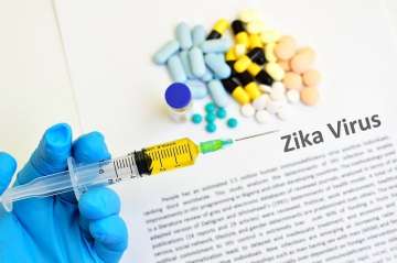 plant based zika vaccine