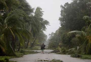 A person walks through a street lined with debris and fallen trees