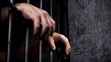 A magistrate sentenced a city resident to simple imprisonment for the offence